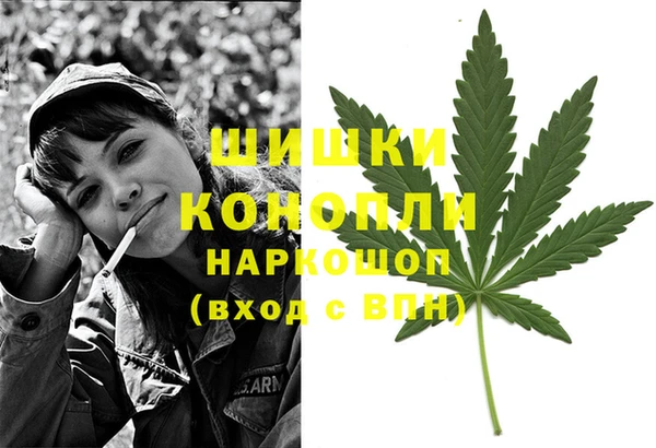 ГАЛЛЮЦИНОГЕННЫЕ ГРИБЫ Михайловка