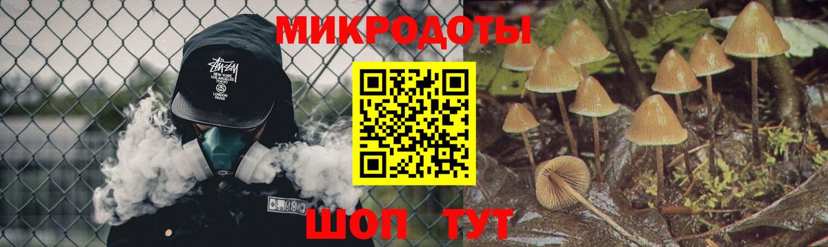 Галлюциногенные грибы Psilocybe Калач-на-Дону